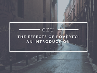 Introduction to Poverty icon