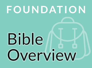 Bible Overview icon