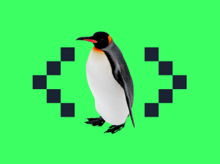 Setup Linux para Programar icon