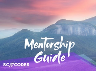 Mentorship Guide icon