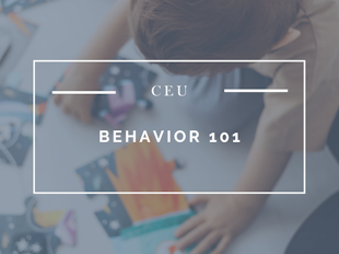 Behavior 101 icon