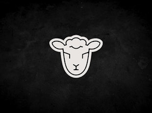 Shepherding Leadership icon