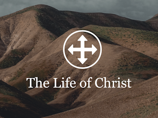 The Life of Christ icon