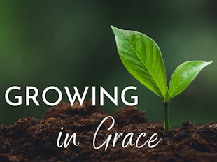 Register for Growing in Grace from The Way Bible Church icon