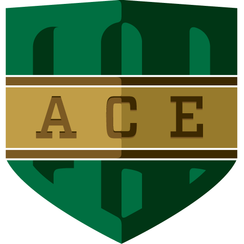 American College of Economics icon