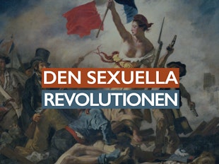 Den sexuella revolutionen icon