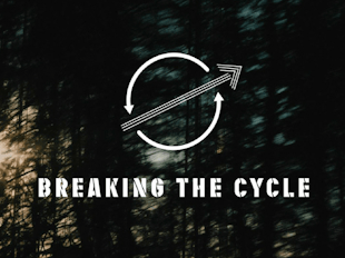 Breaking the Cycle icon