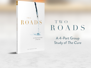 Two Roads: A 4-Part Group Study of The Cure icon