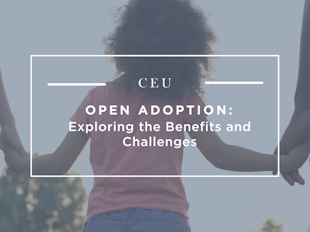 Open Adoption: Exploring the Benefits and Challenges icon
