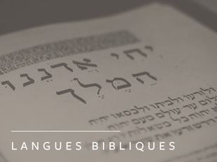 Hébreu biblique II icon