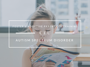 Autism Spectrum Disorder icon